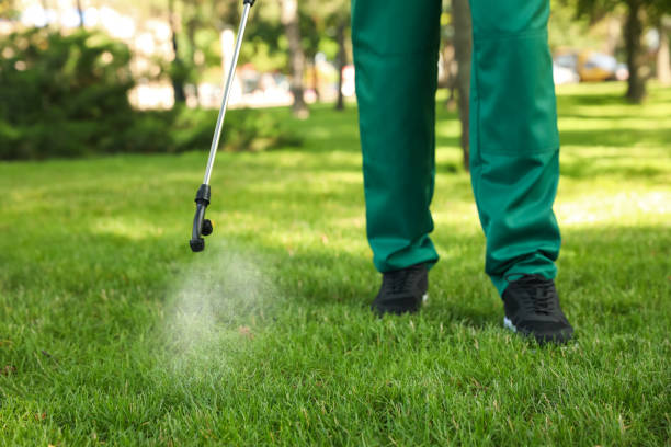 Reliable Poth, TX Pest Control Solutions