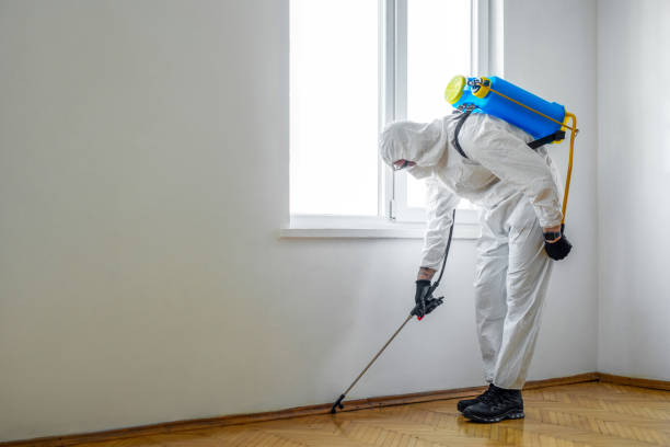 Best Exterminator Services  in Poth, TX