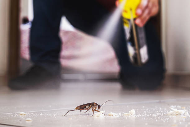 Professional Pest Control in Poth, TX